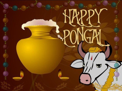 Happy Pongal Bull Graphic