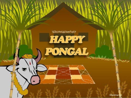Happy Pongal Bull Graphic For Share On Myspace