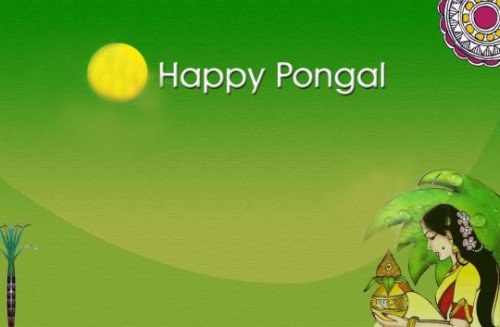 Happy Pongal Greeting Card For You