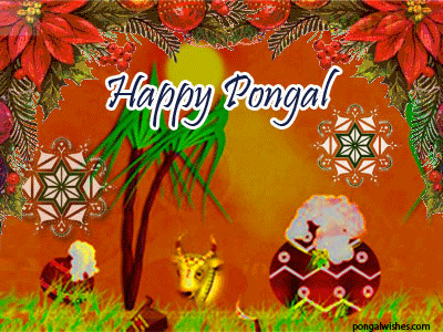 Happy Pongal Greeting Card.