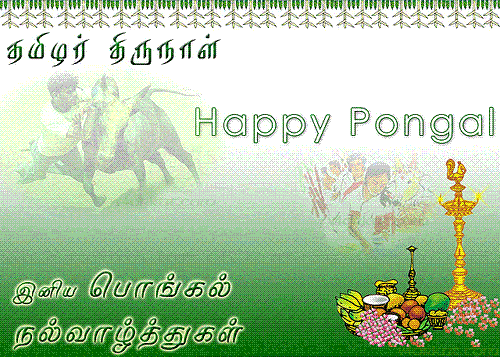 Happy Pongal Greeting Ecard For Share On Facebook