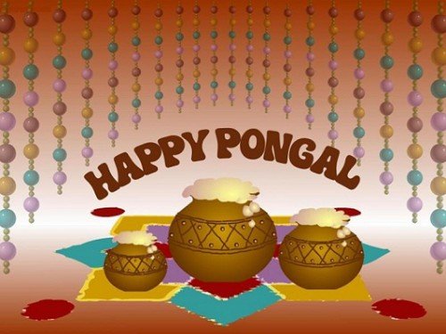 Happy Pongal Pots Filled With Curd Graphic