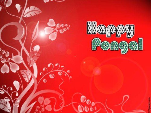 Happy Pongal Red Background Graphic