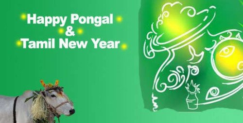 Happy Pongal & Tamil New Year