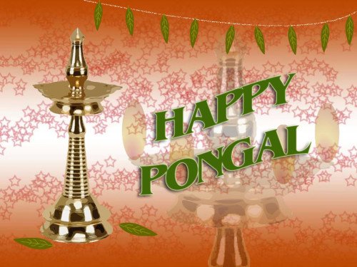 Happy Pongal To You And Your Family