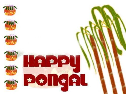 Happy Pongal Wishes For You And Your Family