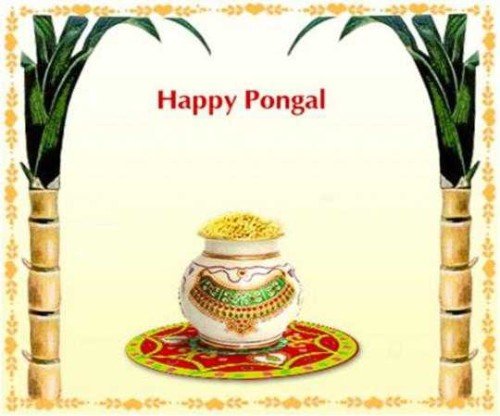 Happy Pongal Wishes Graphic For Share On Facebook