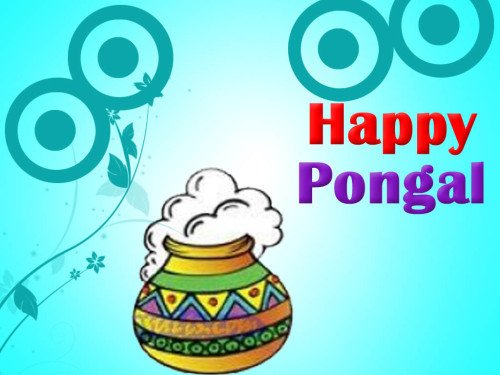 Happy Pongal Wishes Wallpaper For Desktop