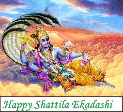 Happy Shattila Ekadashi