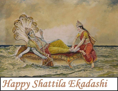 Happy Shattila Ekadashi2