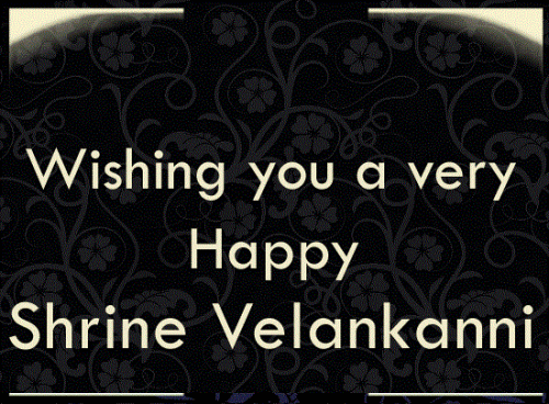 Happy Shrine Velankanni