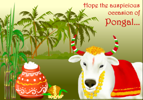 Hope The Auspicious Occasion Of Pongal