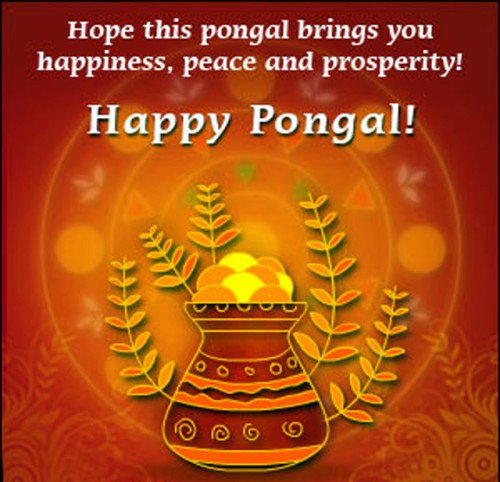 Hope This Pongal Brings You Happiness, Peace And Prosperity Happy Pongal