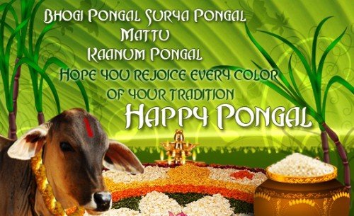 Hope You Rejoice Every Color Of Your Tradition Happy Pongal