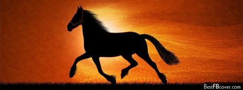 Horse Abstract Facebook Timeline Profile Cover