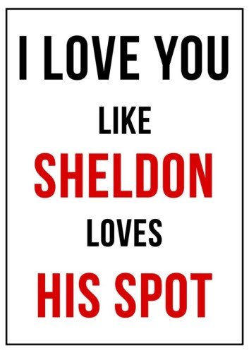 I Love You Like Sheldon