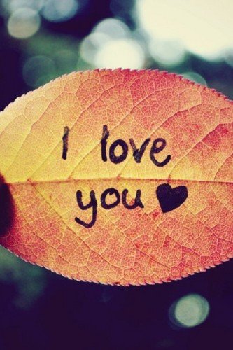 I Love You On Leaf