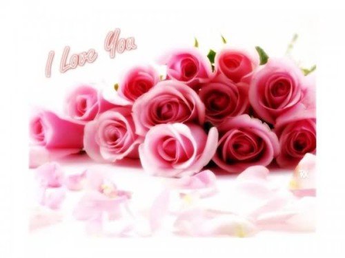 I Love You Pink Roses