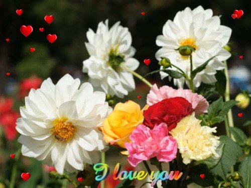I Love You With Colorful Flowers