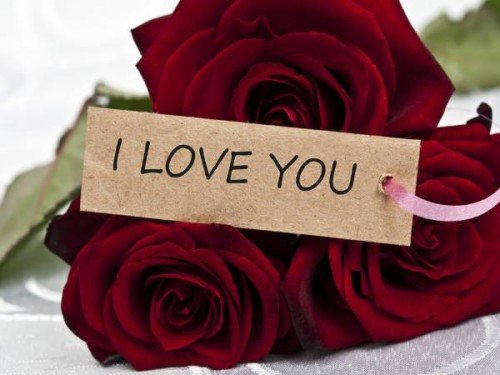 I Love You With Red Rose