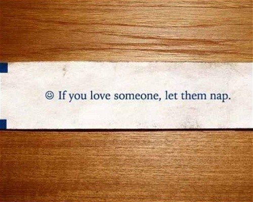If You Love Someone Let Them Nap