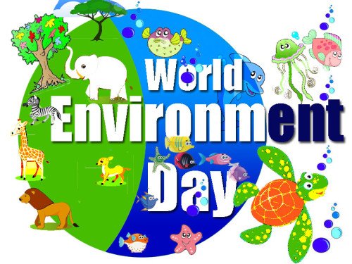 Images Of World Environment day1