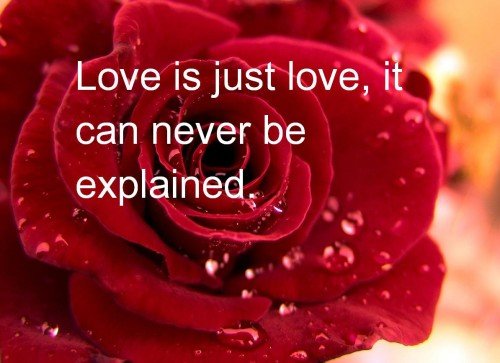 Love Is Just Love, It Can Never Be Explained