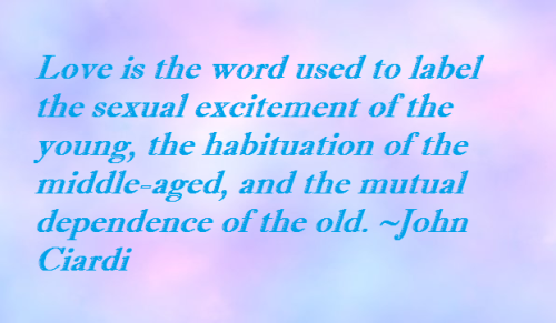 Love is the world used to label the sexual excitment of the young