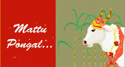Mattu Pongal Greetings Bull Graphic