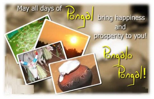 May All Days Of Pongal Bring Happiness And Prosperity To You Pongalo Pongal