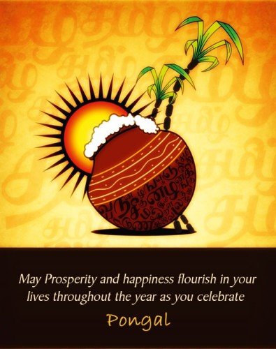 May Prosperity And Happiness Flourish In Your Lives Throughout The Year As You Celebrate Pongal