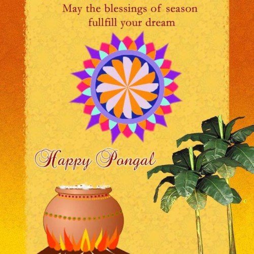 May The Blessings Of Season Fulfill Your Dream Happy Pongal