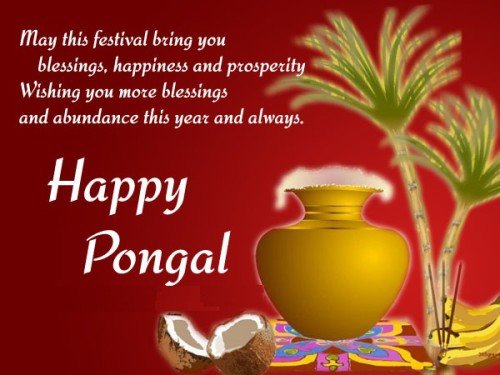 May This Festival Bring You Blessings, Happiness And Prosperity Wishing You More Blessings And Abundance This Year And Always Happy Pongal