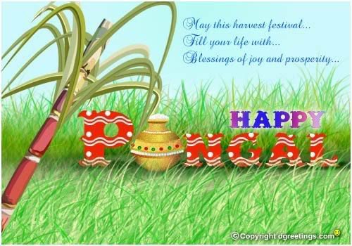 May This Harvest Festival Fill Your Life With Blessings Of Joy And Prosperity Happy Pongal