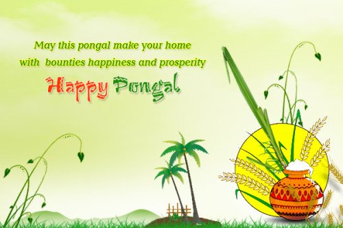 May This Pongal Make You Home With Bounties Happiness And Prosperity Happy Pongal