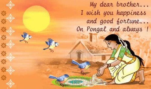 My Dear Brother I Wish You Happiness And Good Fortune On Pongal And Always