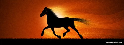 Running Horse Facebook Cover