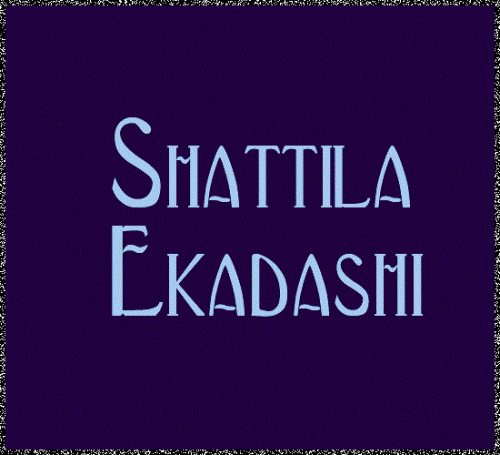 Shattila Ekadashi2