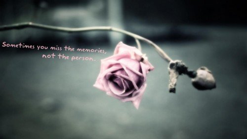 Sometimes U Miss The Cute Love Quote