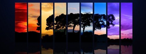 Tree Spectrum Facebook Timeline Profile Cover