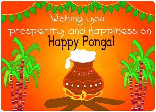 Wishing You Prosperity And Happiness On Happy Pongal