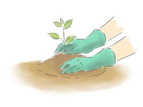 world_environment_day_images_6919770115