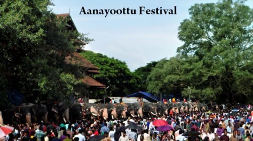 Aanayoottu vadakkumnathan temple