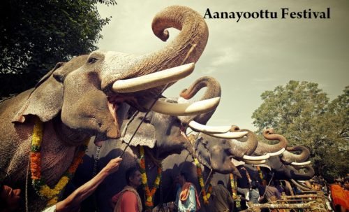 Anayoottu Thrissur Kerala