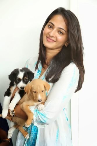 Anushka Shetty Cool With Puppy At Blue Cross Pet Carnival 2014 Event