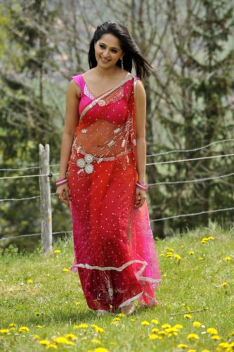 Anushka Shetty In Saree Fashionable Look Still