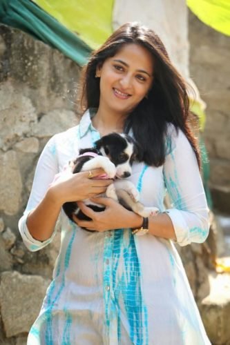 Anushka Shetty Smiling Pose With A Puppy At Blue Cross Pet Carnival 2014 Event