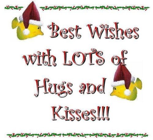 Best wishes with lots of hug