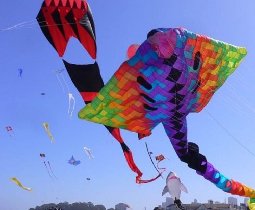 Big Kites In Festival