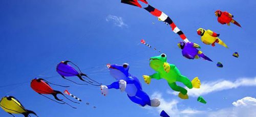 Frog Kites